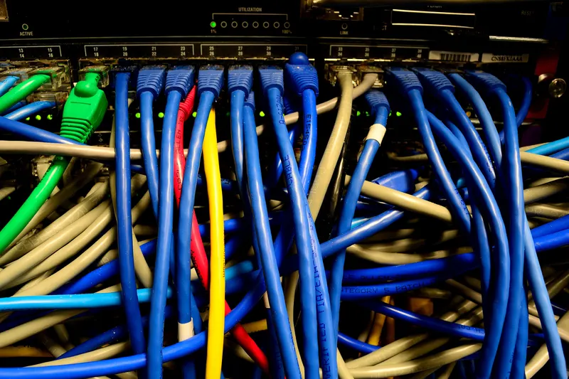 Network router and patch panel in a small business wiring closet